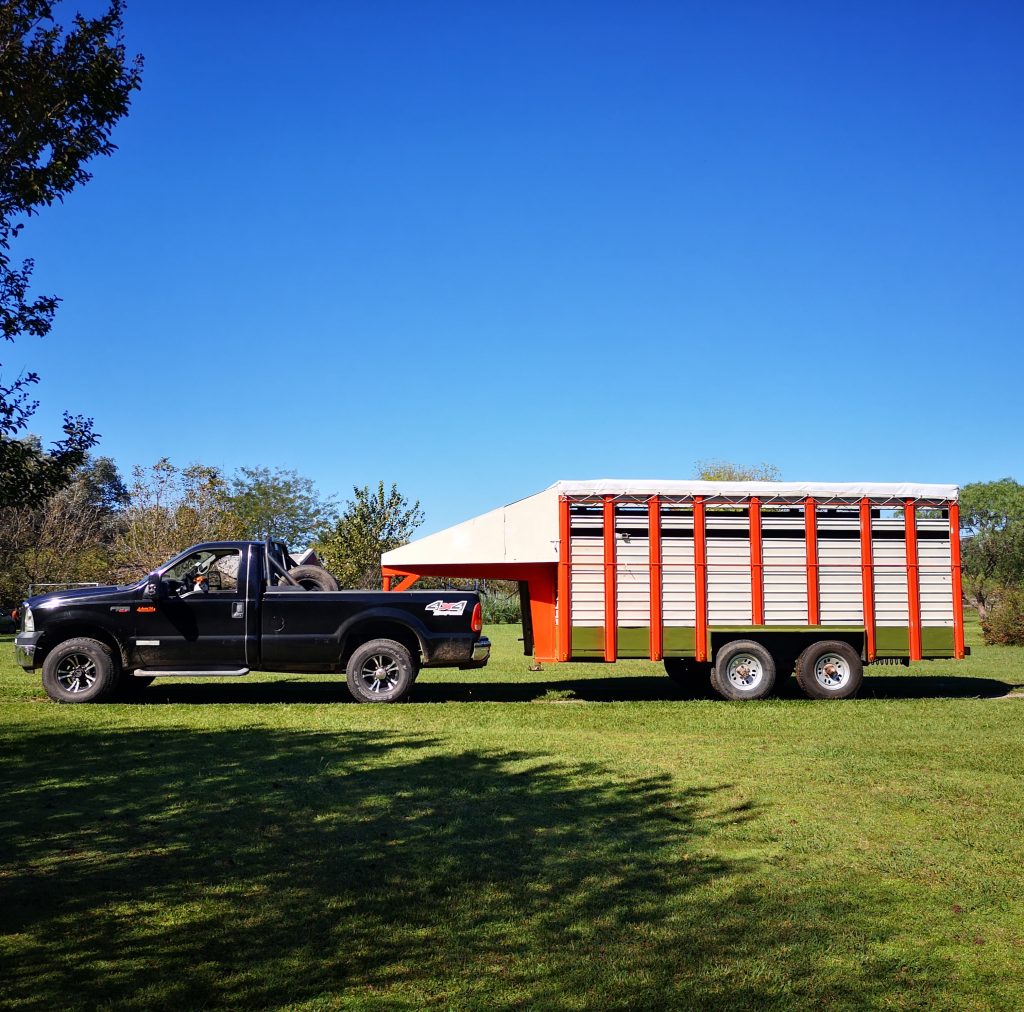 truck and trailer horse transport argentina